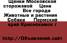 Щенки Московской сторожевой  › Цена ­ 25 000 - Все города Животные и растения » Собаки   . Пермский край,Краснокамск г.